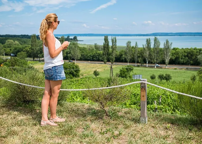 Vitis Kúria 7171 Balatonrendes